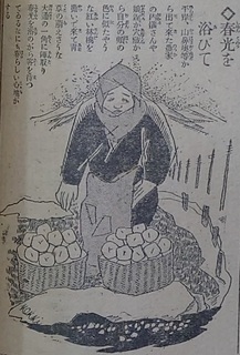 19200328春光を浴びて.jpg
