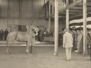 19220718大楽毛馬市場.jpg